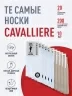 Комплект из 10 пар мужских носков CAVALLIERE (RuSocks), С-330/1-10, микс 1