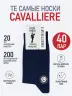 Комплект из 40 пар мужских носков CAVALLIERE (RuSocks) Темно-синий (С-330/1-40)