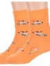 Комплект из 2 пар детских махровых носков Брестские (БЧК), 2-14С3060, рис. 805, ОРАНЖЕВЫЕ