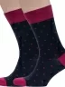 Комплект из 2 пар мужских носков Grinston socks (PINGONS) БОРДОВЫЕ (2-18D1)